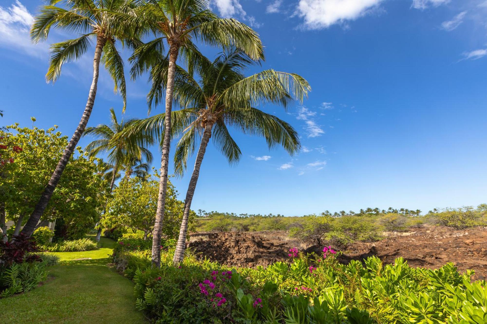 Mauna Lani Palm Villas D-2 Corner Unit Historic View Waikoloa Exterior photo